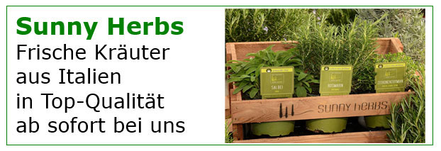 Sunny Herbs